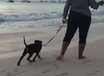 barbados/saint-michael/attraction/browne-s-beach-246