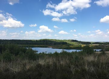 belgium/hoge-kempen-national-park/attraction/vallei-van-de-ziepbeek