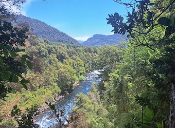 chile/los-rios-region/attraction/volcanic-caves-huilo-huilo