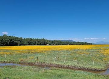 arizona/sedona/attraction/mormon-lake