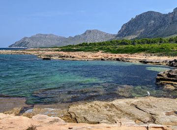 spain/mallorca/attraction/lleo-de-sant-marc