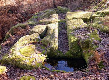 portugal/viseu/attraction/lagareta-dos-mouros