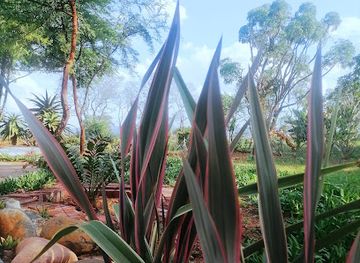 south-africa/polokwane/attraction/polokwane-gardens