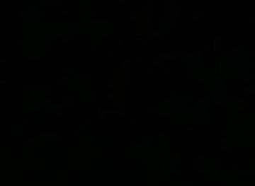 chad/lake-chad/attraction/dolapo-obat-gallery