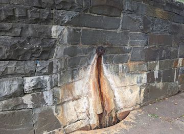 new-york/adirondack-mountains/attraction/charlie-spring