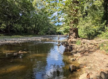 illinois/illinois-river-valley/attraction/kankakee-river-state-park