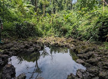 rwanda/karisimbi-volcano/attraction/buhanga-eco-park