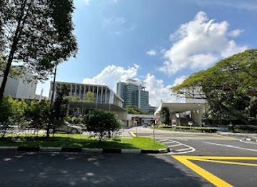 singapore/holland-village/attraction/nus-museum