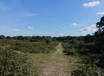 united-kingdom/essex/attraction/tiptree-heath