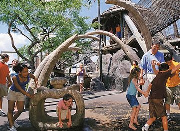 florida/orlando-theme-parks/attraction/camp-jurassic