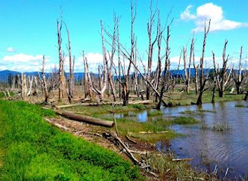 washington/olympic-national-park/attraction/skagit-wildlife-area-wiley-slough