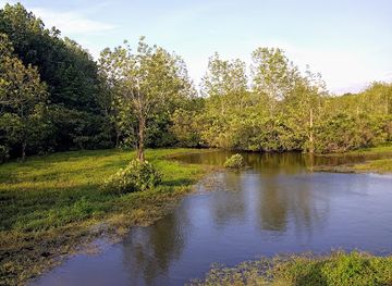 kentucky/henderson/attraction/audubon-wetlands-trail