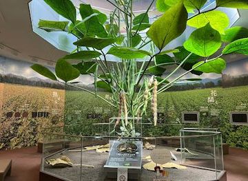 japan/harima/attraction/azuki-museum