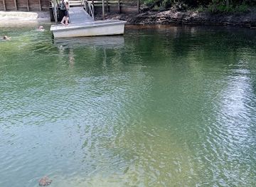 florida/suwannee-river/attraction/gornto-springs