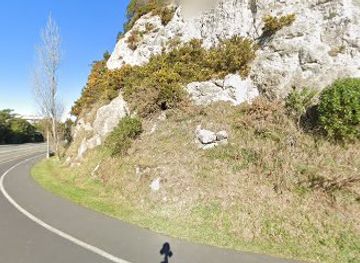 new-zealand/dunedin/attraction/boot-on-the-cliff