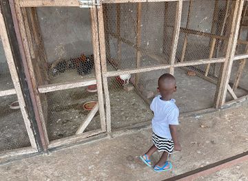 zambia/chipata/attraction/kauzu-game-ranch