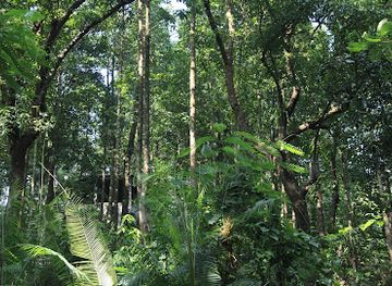 bangladesh/ratargul-swamp-forest/attraction/tilagarh-eco-park