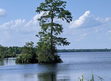 virginia/great-dismal-swamp-national-wildlife-refuge/attraction/lake-drummond-fishing-pier-and-boat-ramp