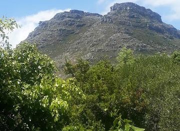 south-africa/cape-town/attraction/constantia-wine-route