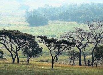 south-africa/pilanesberg-national-park/attraction/kgaswane-nature-reserve-rustenburg