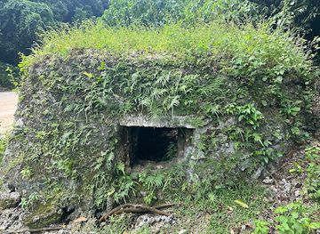 palau/peleliu/attraction/japanese-pillbox