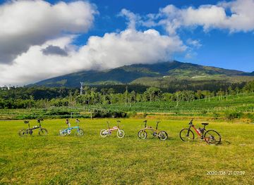 indonesia/java/attraction/hutan-pinus-kayon