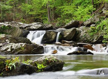 alabama/talladega-national-forest/attraction/devil-s-den-falls