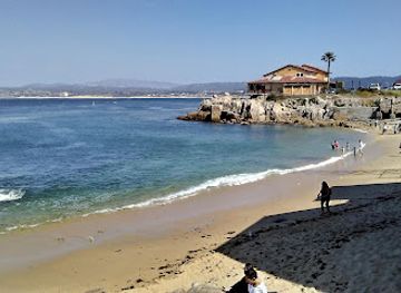california/central-coast/attraction/monterey-bay-aquarium