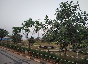 india/chennai/mylapore/attraction/kamarajar-statue