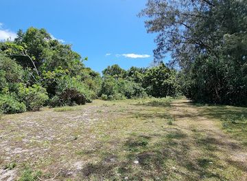 tanzania/coastal-zone/attraction/vumawimbi-beach
