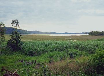 papua-new-guinea/lae/attraction/sepic-river-crocodile-festival
