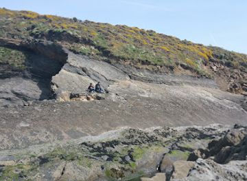 united-kingdom/pembrokeshire-coast-national-park/attraction/hangar-5