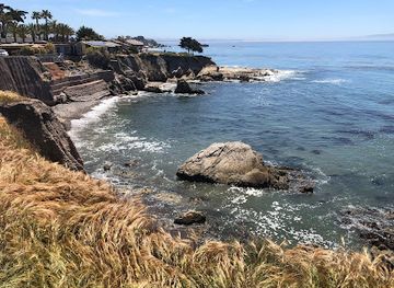 california/pismo-beach/attraction/memory-park