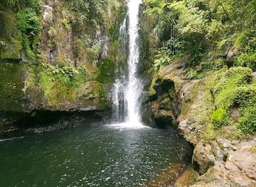 new-zealand/tauranga/attraction/kaiate-falls