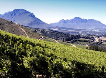 south-africa/cape-winelands/attraction/remhoogte-wine-estate