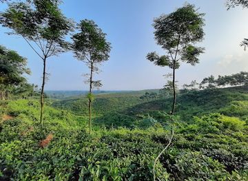 bangladesh/lawachara-national-park/attraction/laltila-lalpahar