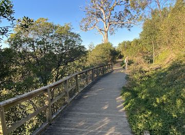 australia/gippsland/attraction/mitchell-river-walk