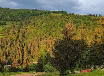 romania/bihor-mountains/attraction/wildglampingarieseni