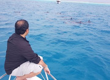 maldives/haa-alif-atoll/attraction/dolphin-park