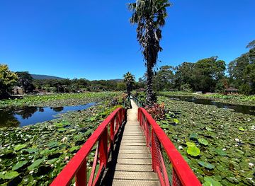 australia/yarra-valley/attraction/blue-lotus-water-garden