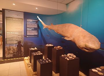 cyprus/nicosia-district/attraction/cyprus-museum-of-natural-history