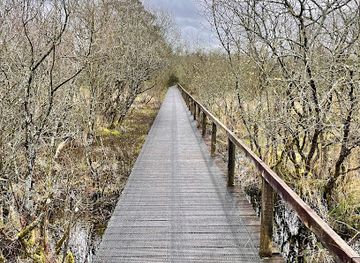 ireland/county-westmeath/attraction/scragh-bog-trail-head