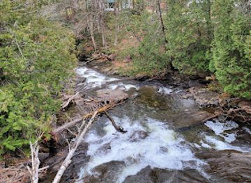vermont/molly-falls-state-park/attraction/the-forgotten-village-at-greenbank-s-hollow