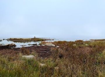 sweden/oland/attraction/borgholms-fyr