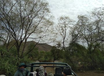 india/ranthambore/attraction/ranthambore-national-park-zone-10