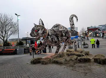 The Icelandic Punk Museum