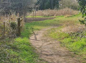 united-kingdom/cambridgeshire/attraction/bramblefields