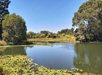 australia/high-country/attraction/australian-platypus-park-tarzali-lakes