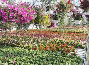finland/north-karelia/attraction/koli-garden-and-sculpture-park