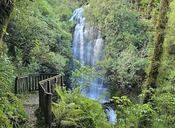 new-zealand/waitomo-caves/attraction/waitomo-walkway